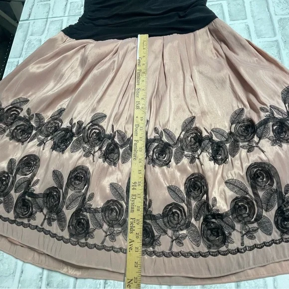 J.R.Nites by Carolin black-top dress with a pink A-line skirt. Size 16. Roses - Picture 15 of 16